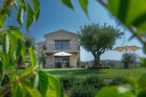 Agriturismo San Nicolino Offida